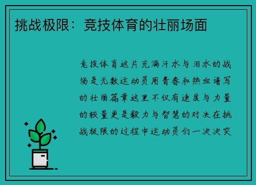 挑战极限：竞技体育的壮丽场面