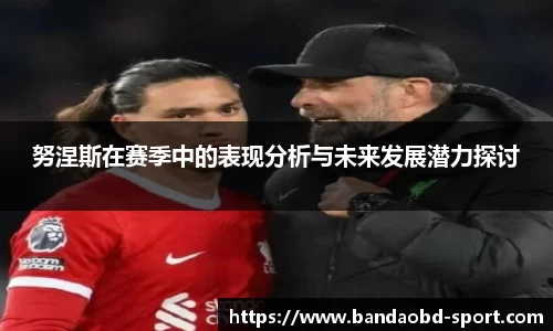 努涅斯在赛季中的表现分析与未来发展潜力探讨